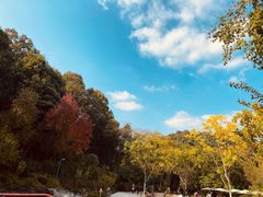 -杭州少年儿童公园