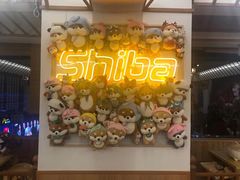-豆柴町-柴犬主题狗咖(红鼎国际C座店)