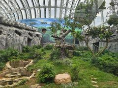 -石排湾郊野公园