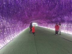 -绿野森林乐园冰雪季