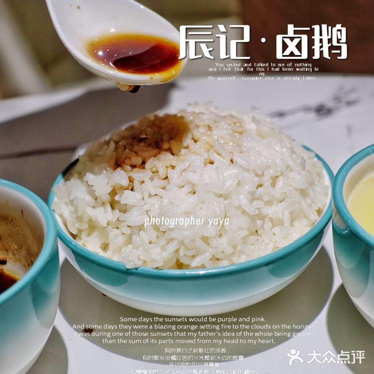 辰记 卤鹅｜藏着“世界鹅王”狮头鹅！