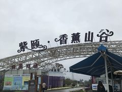 -紫颐香薰山谷景区