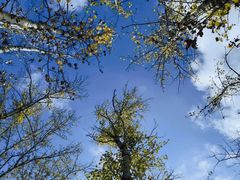 -野鸭湖国家湿地公园