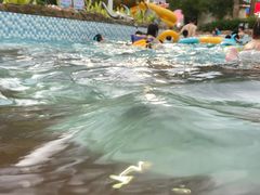 -杭州浪浪浪水公园
