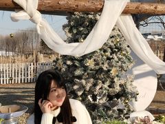 -安德鲁户外烧烤帐篷营地(马泉营店)