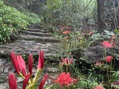 -宁波市保国寺古建筑博物馆