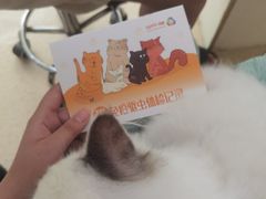 -萌兽医馆·宠物医院·猫骨科(创景店)