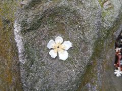 -火炉山森林公园