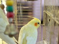 -潇湘·永州会馆(百子湾店)