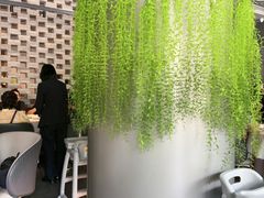 -望京辣宴·古法川菜(望京店)