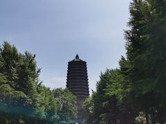 -玲珑塔公园