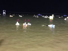 -碧海金沙