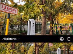 -三里屯东五街银杏大道