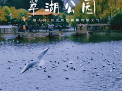-翠湖公园