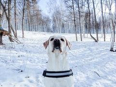 -翠云山银河滑雪场