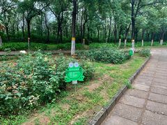 -云岗森林公园
