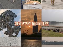 -深圳人才公园