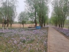 -东郊湿地公园