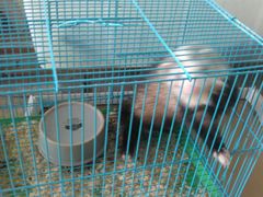 -山东柏宁水族批发广场