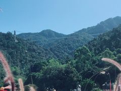 -南丹山森林王国