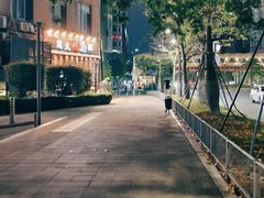 -深圳国际园林花卉博览园