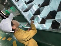 -上海大自然野生昆虫馆(东方明珠·爬宠昆虫探索中心)