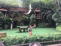 -新加坡飞禽公园