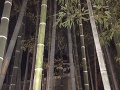 -穹六人间 people 6(岳阳路店)