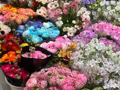 -双季花艺园艺市场(浦东店)