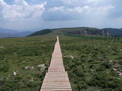 -芦芽山旅游度假区