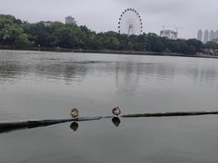 -南宁南湖公园
