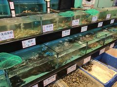 -万山楼海鲜酒家·二十三年老字号