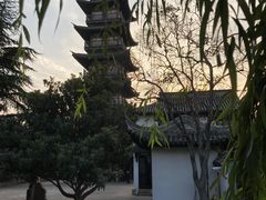 -秋霞圃