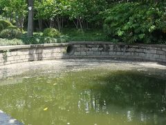 -嘉定紫藤园