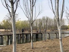-东郊湿地公园