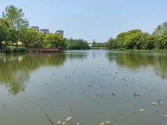 -新江湾城公园