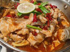 -菌自由丨野生菌火锅特色庭院餐厅(丽江古城店)