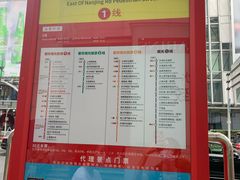 -BUS TOUR观光巴士