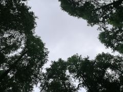 -上海怡沁园度假酒店