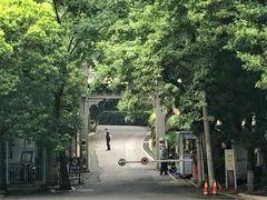 -北极阁公园