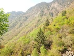 -叠溪松坪沟景区