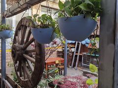 -新疆狼爷烤肉(宋庄店)