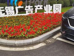 -3W咖啡(国家软件园店)