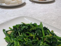 -梧桐庄园