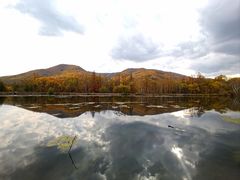 -洮儿河国家湿地公园