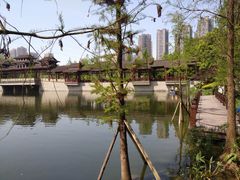 -重庆彩云湖湿地公园