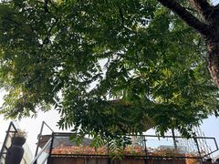 -SUSU·苏苏(四合院创始店)