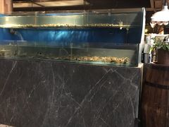 水产区-星伦多 自助料理(圆融店)