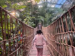 -呀路古热带植物园