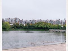 -新江湾城公园
